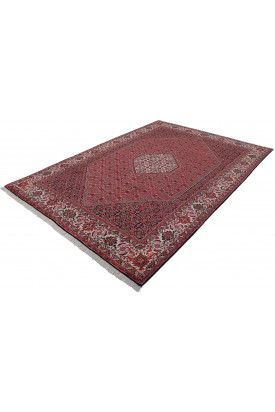 Bidjar 198X289